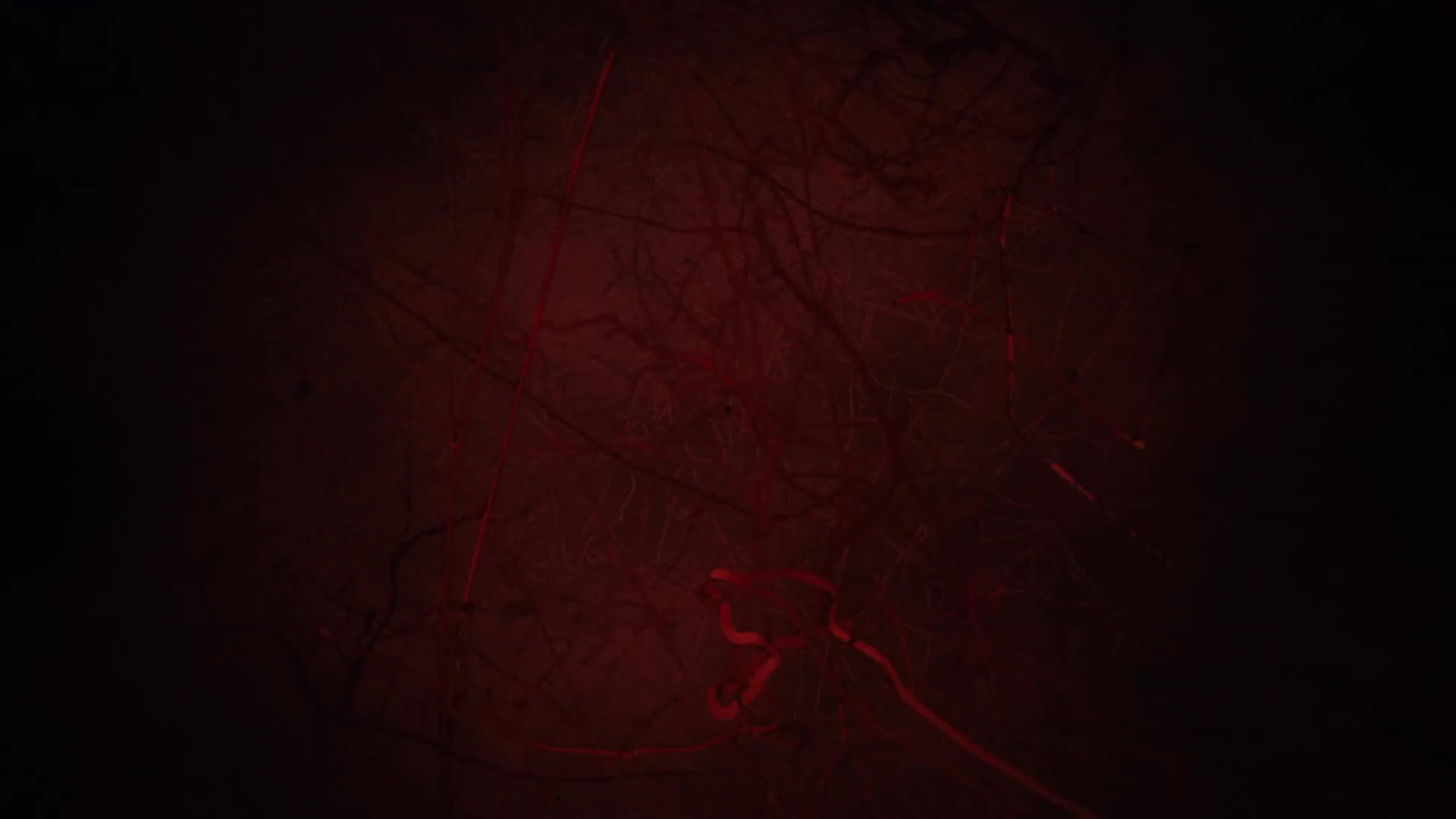 [Tsukyio Editing Resources] Demon Slayer (Mugen Train) Raw Clips (1215) (tsukyio.com).mp4